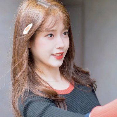 鸟与蜜蜂